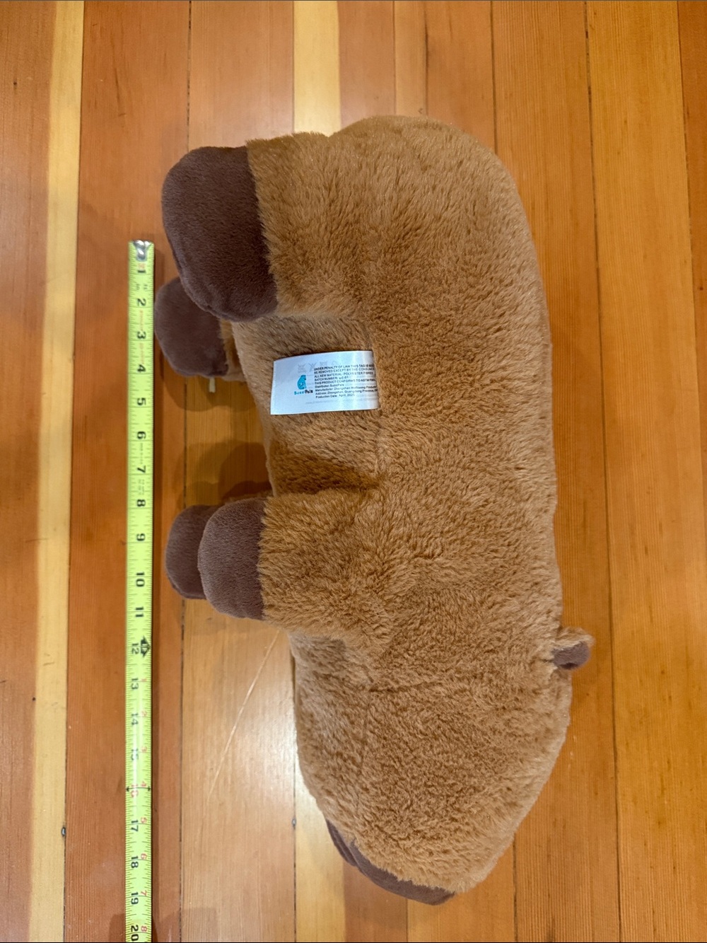 Suzzipals capybara and 3 babies